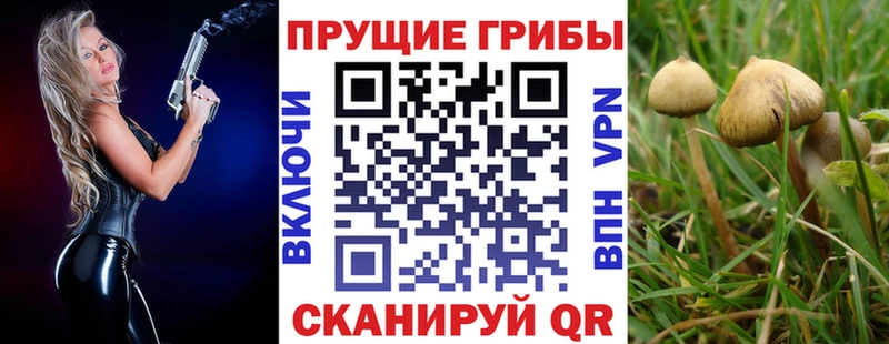 Псилоцибиновые грибы прущие грибы  площадка состав  Туринск 